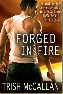 Forged-in-Fire cover