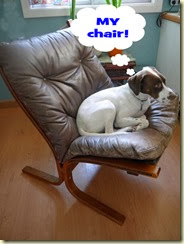 my chair