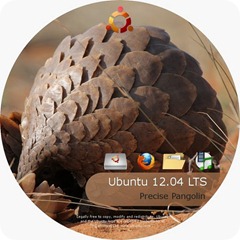 Aggiornamenti di sicurezza importanti per Ubuntu 12.04 Precise Pangolin: Unity 2D shared library, Pulse Audio Sound Server, VNC plugin for remmina remote desktop client ed altri.