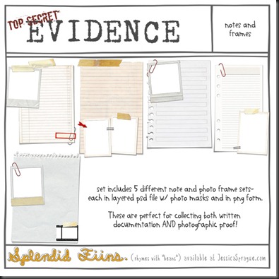 SF_evidence-notesandframes