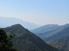 IMG_7524