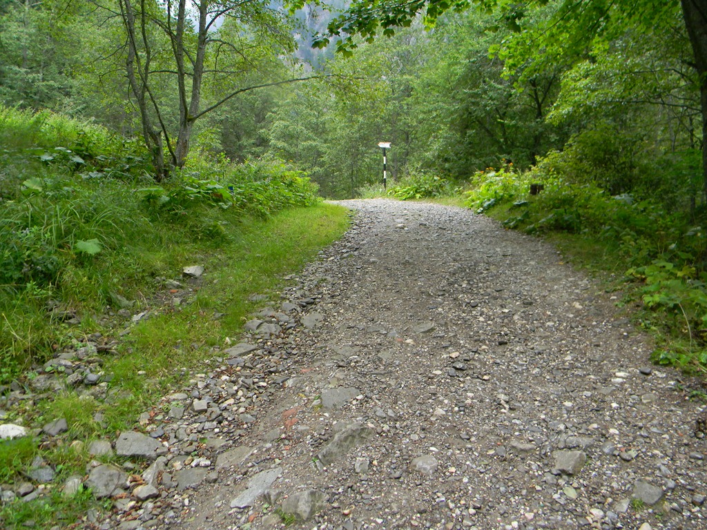 [DSCN41963.jpg]