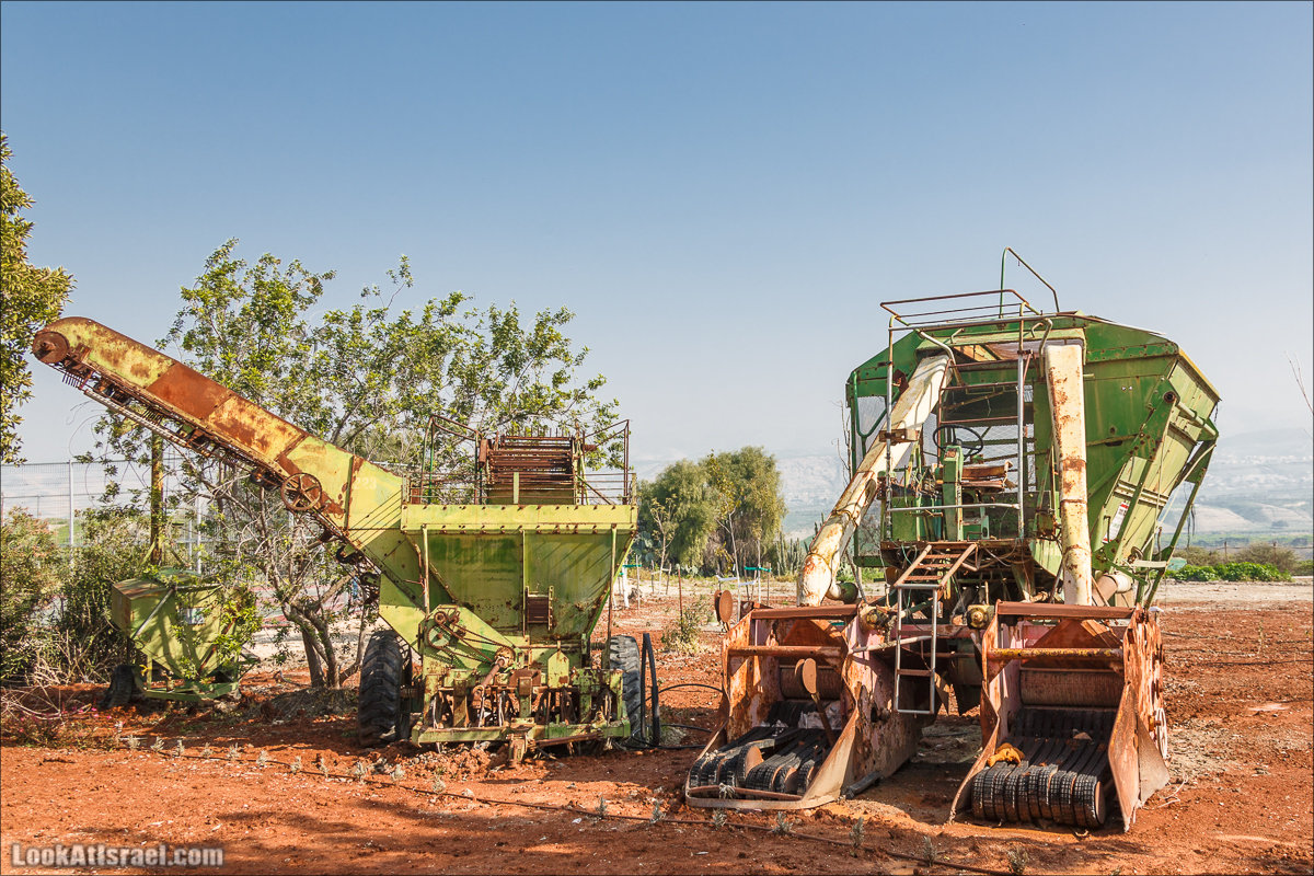LookAtIsrael.com - Киббуц Кфар Рупин | Kibbutz Kfar Rupin | קיבוץ כפר רופין