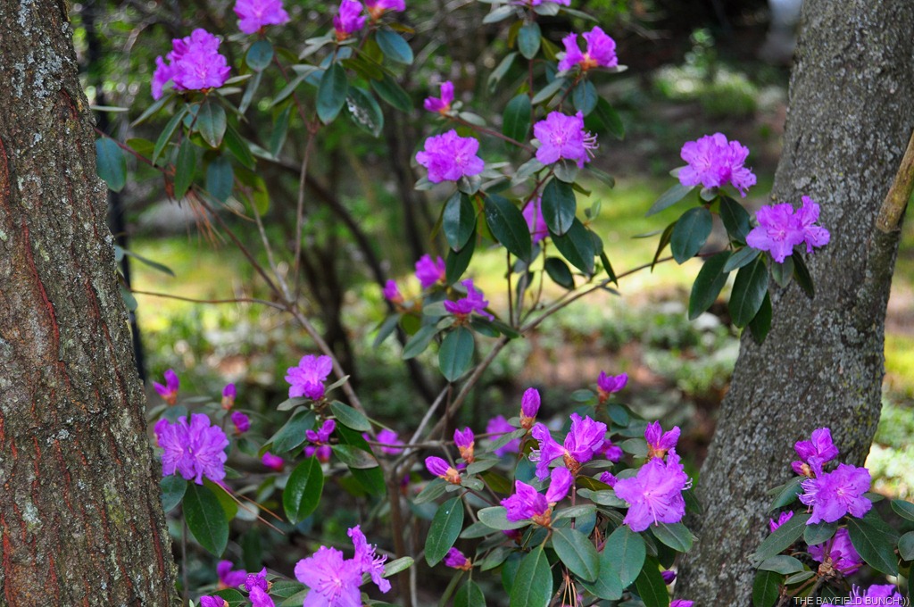 [DSC_0038%255B4%255D.jpg]