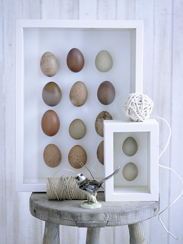 Eggs in a Frame