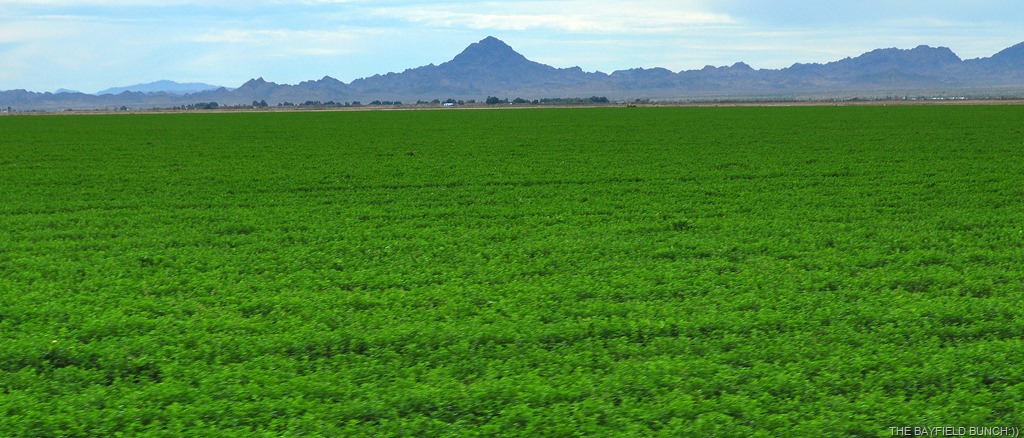 [DSC_0044%255B4%255D.jpg]