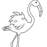 Aves%25252520%2525252838%25252529.jpg