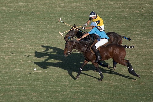 [Polo-players-on-horses-crossing-sticks%255B4%255D.jpg]