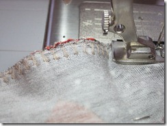 IMG_6865 IMG_6865