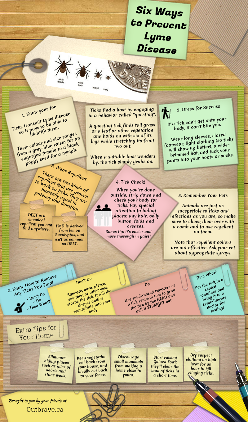 DISCOVER DOCTOR® DISCOVER DOCTOR® Lyme Disease