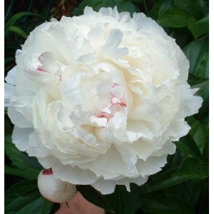 [image%255B39%255D.png]