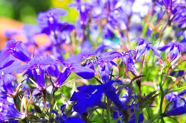 [DSC_0305%255B3%255D.jpg]