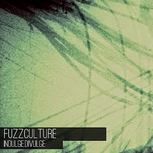 FUZZCULTURE_CD.JPG