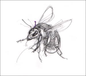 [horto%2520sketch%2520sm%255B7%255D.jpg]