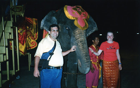202. cu elefanti in Phuket.jpg