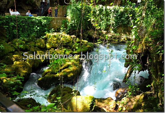 DSC_1458_Fotor DSC_1458_Fotor
