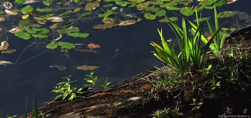 [DSC_0011%255B4%255D.jpg]