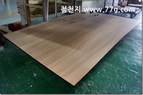 철천지DSC04661