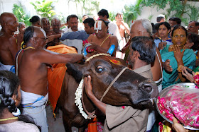 http://lh5.ggpht.com/-6XntVNXzrNE/Swp0fx6nY2I/AAAAAAAAByg/J2VdCKAXv_Y/s576/MURUGAN%252520%252520%252520%25252001%252520047.jpg