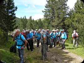 Colla dels Bufets d'Olot