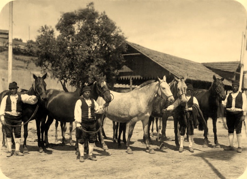 [Expo-Pecuria.2314.jpg]