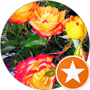 Image Google de Annette Alehause