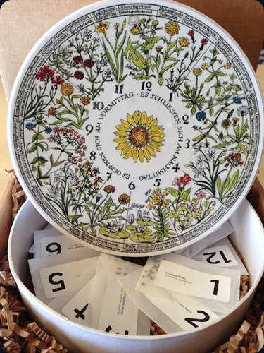 linneo flower clock2