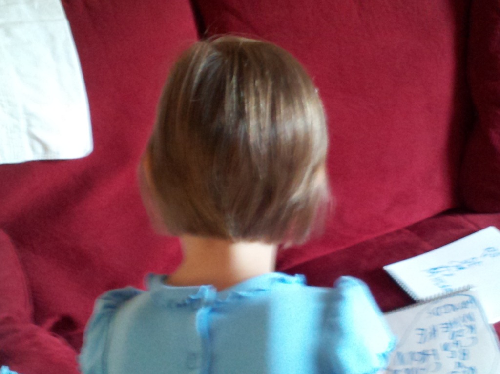[2012-03-25-Kahlens-Hair-cut-16.jpg]