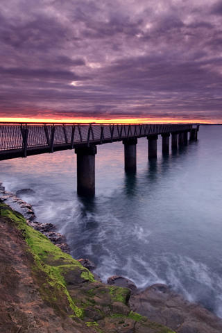 4300118904_19f0ca587e