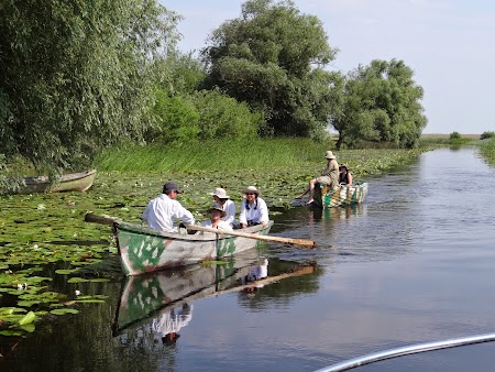 30. Canoe in Delta Dunarii.JPG