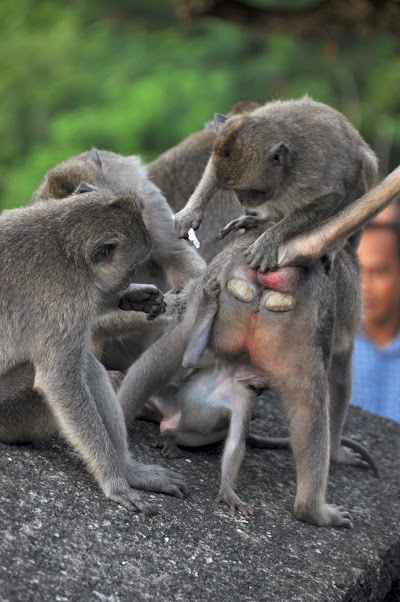 DSC_0167.jpg DSC_0167.jpg