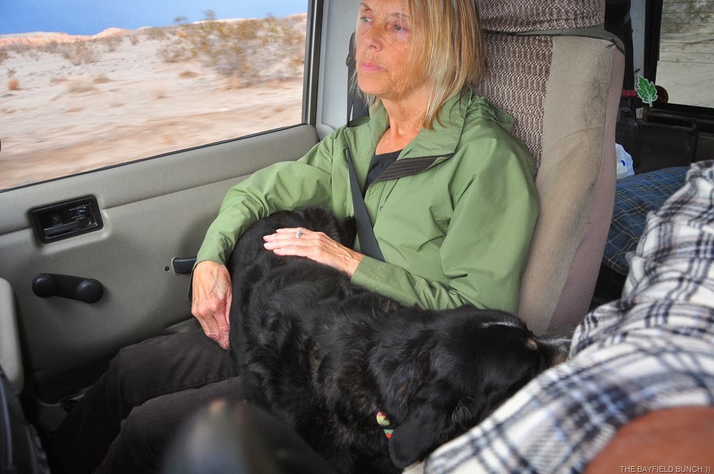 [DSC_0118%255B4%255D.jpg]