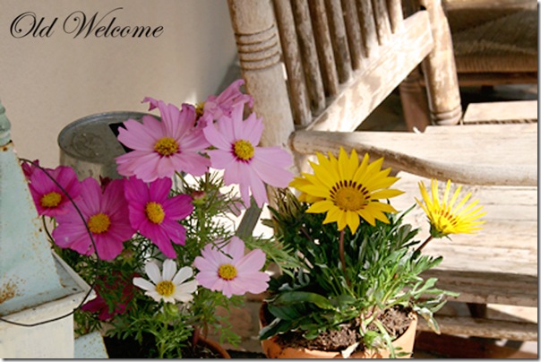 potted flowers old rocker front porch old welcome 2