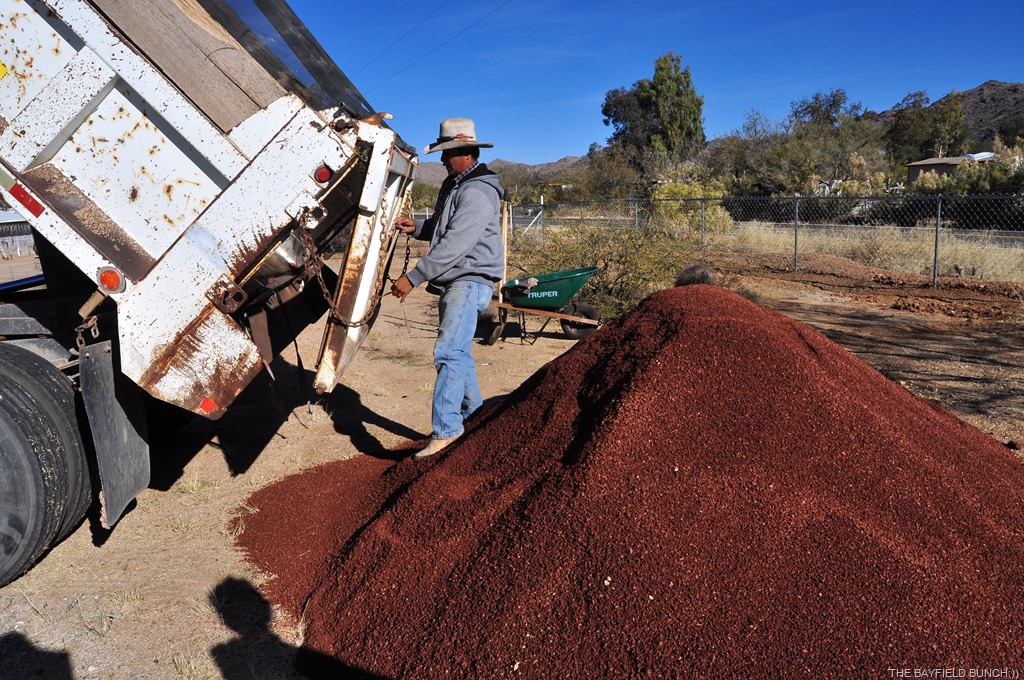 [DSC_0003%255B3%255D.jpg]