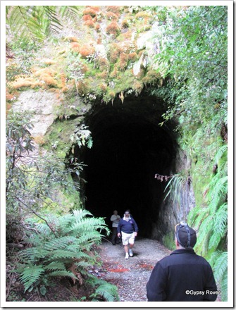 Robin and Dot in the Chasm tunnel on the Mokinui to Stockton line. Closed in 1984.