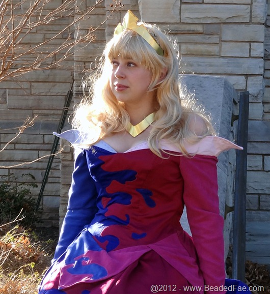 Princess Aurora's Pink and Blue Gown  (Close Up)