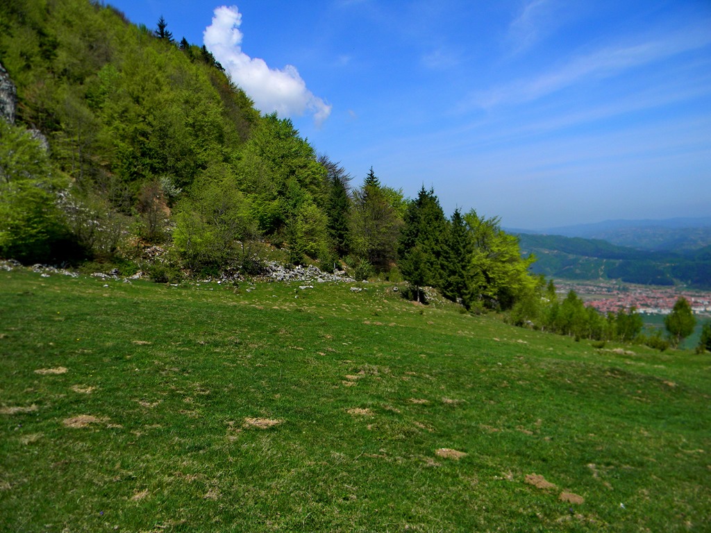 [DSCN85283.jpg]