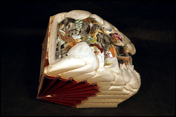 Brian Dettmer sculpteur de livres (25)