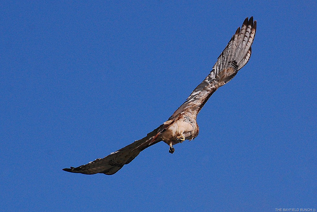 [DSC_7080%255B4%255D.jpg]