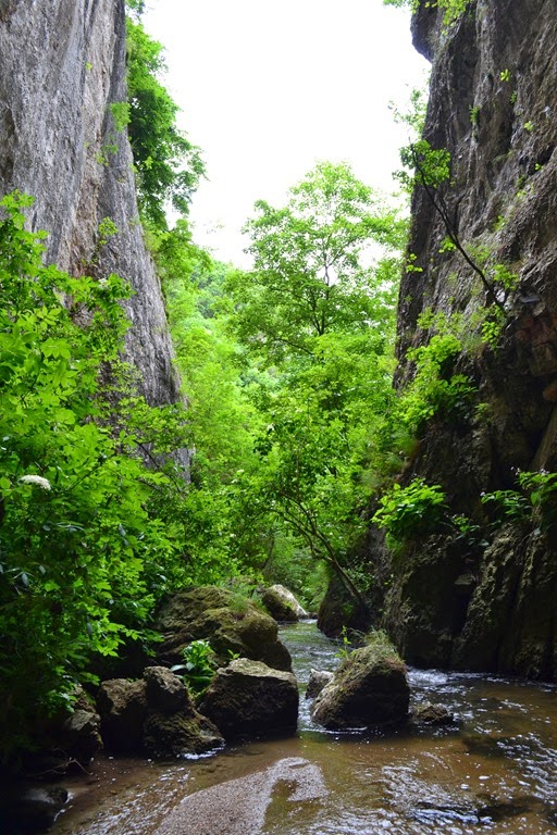 [DSC_4171%255B4%255D.jpg]