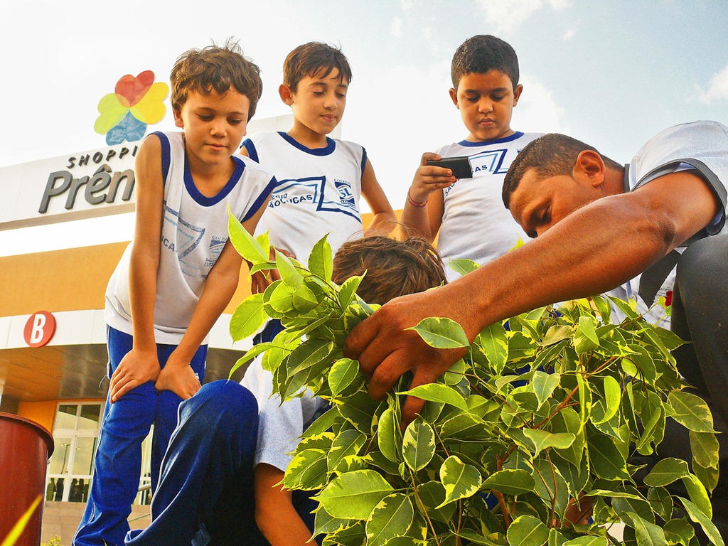 [menor4%255B3%255D.jpg]