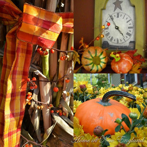 fall color collage
