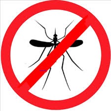 [Mosquito%255B2%255D.jpg]