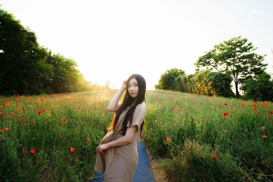 Bambi (밤비) Lacerta Photography