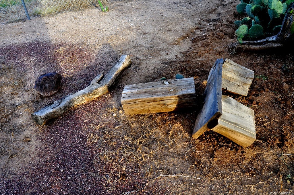 [DSC_0005%255B4%255D.jpg]