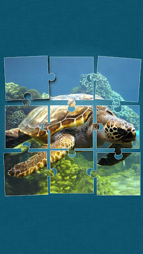 Under the Sea Jigsaw Puzzles