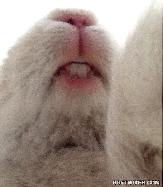 [1402679029_1305655202%255B6%255D.jpg]