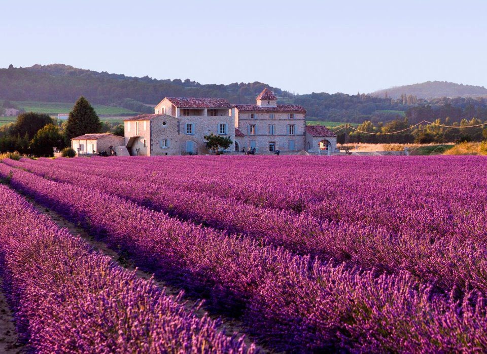 [provence11-vinhoedelicias%255B2%255D.jpg]