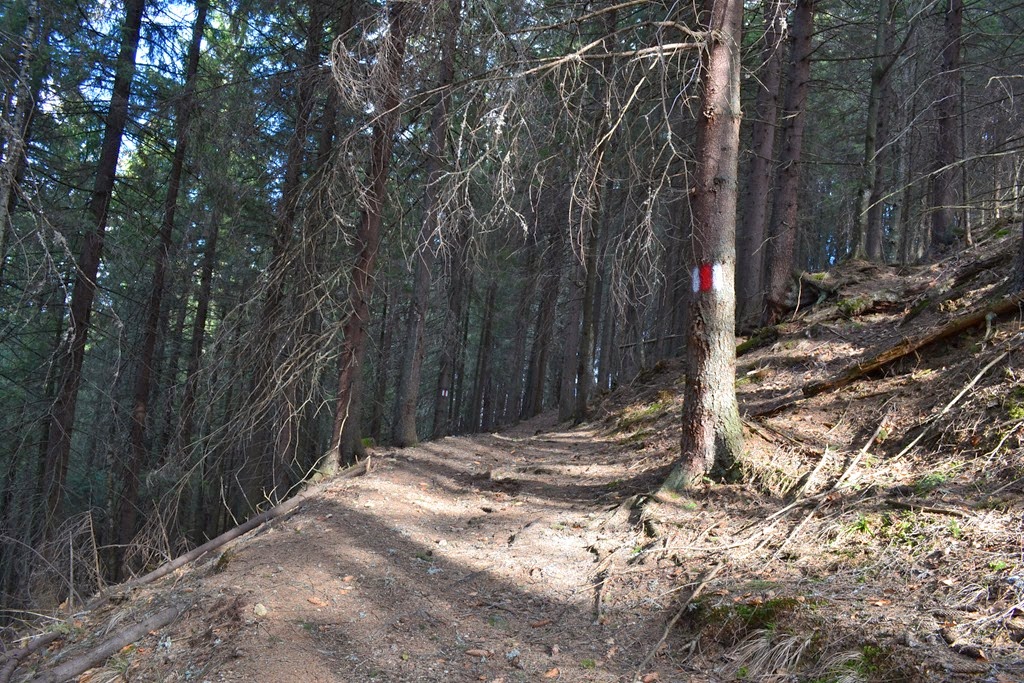 [DSC_53603.jpg]