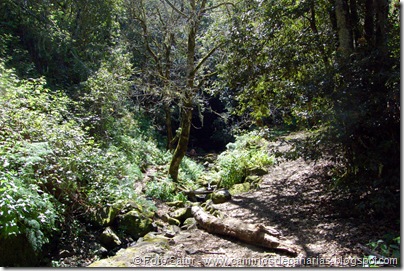 5645 Barranco de Crespo 5645 Barranco de Crespo